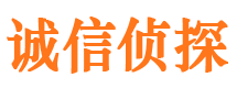 海口市私人调查